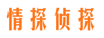 和县外遇出轨调查取证